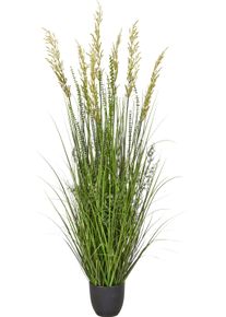 Kunstgras Creativ green "Gras-Mix-Busch", gr&uuml;n, H:150cm, Obermaterial: 100% Kunststoff, Kunstpflanzen, Kunstgras, mit naturgetreuen Halmen