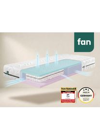 f.a.n. Taschenfederkernmatratze FAN "fan Flex Side Clima T, Matratze 90x200 cm, 140x200 cm & mehr, in H2/H3", wei&szlig; (wei&szlig;, neutral), B:90cm H:24cm L:200cm, Bezug: 100% Polyester, Matratzen, Taschenfederkernmatratze, Wendematratze mit Aero-System,1034 Federn (bei 100x 200 cm)