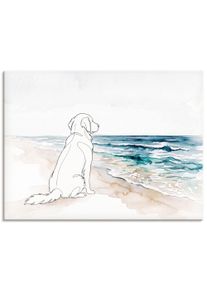 Wandbild OTTO HOME "Hund am Meer", bunt (farbe bild(er): wei&szlig;), B:80cm H:60cm T:2cm, Holz, Leinwand, Bilder, Wandbild, als Poster oder Leinwandbild in versch. Gr&ouml;&szlig;en