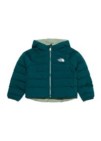 The North Face Drenge Udend&oslash;rsjakke 'PERRITO' petroleum / pastelgr&oslash;n St&oslash;rrelse 98/106