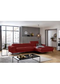 Ecksofa W.Schillig "piedroo, Designsofa mit tollem Sitzkomfort, bequem, L-Form", rot (ruby rot z59), B:343cm H:70cm T:193cm, Longlife Xtra-Leder Z59: Glattleder mit modischer Pr&auml;gung. Hautst&auml;rke 0, 9 - 1, 1 mm, Sofas, Ecksofa, Kopfteilverstellung, wahlweise mit Sitztiefenverstellung, Breite 343cm