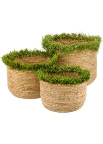 Dekokorb CREATIV HOME "Korb", gr&uuml;n, B:24cm H:20cm T:24cm, Maisgeflecht, Aufbewahrungsboxen, Dekokorb, mit Farbakzent