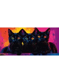 Bild B&Ouml;NNINGHOFF "Wandbild BUNTE KATZE 33x70 cm &ndash; Leinwandbild Keilrahmen Deko modern", farbe bild(er): pink, rot, gelb, gr&uuml;n, blau, B:70cm H:33cm T:1,8cm, Canvas, MDF, Bilder, Bild, auf Keilrahmen gespannt