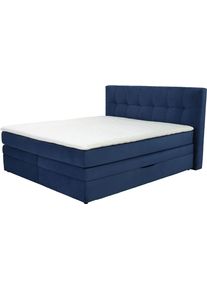 Jockenh&ouml;fer Boxspringbett JOCKENH&Ouml;FER GRUPPE "AMY mit Bettkasten, inkl. Taschenfederkernmatratze H&auml;rtegrad H3-H4", blau (blau 341, 02), B:214cm L:217cm, Bezug Bett: Samtoptik (100% Polyester);Topper und Matratzenspiegel: 100% Polyester, Komplettbetten, Boxspringbett, mit 6 cm Kaltschaum-Topper, Samt-Bezug, 180x200 und 200x200 cm