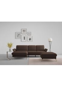 Sit & More Ecksofa SIT & MORE "Fashion L-Form", braun (dunkelbraun), B:253cm H:84cm T:165cm, Sofas, Ecksofa, wahlweise mit Kopfteilverstellung, Vorziehsitz, motorisch, Nickelf&uuml;&szlig;e