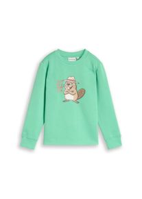 Sweater Tom Tailor, Jungen, Gr. 128/134, gr&uuml;n (leafy gr&uuml;n), Sweatware, Obermaterial: 70% Baumwolle, 30% Polyester, bedruckt, regular fit h&uuml;ftbedeckend, Rundhals, B&uuml;ndchen, Sweatshirts Sweater, mit Frontprint / Rundhals / f&uuml;r Kids