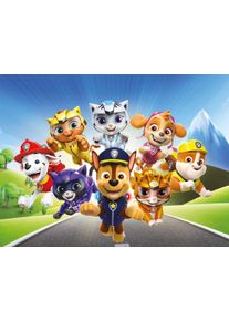 Leinwandbild B&Ouml;NNINGHOFF "Wandbild CAT PACK PAW PATROL 46x61 cm &ndash; Leinwandbild Keilrahmen Deko", blau (farbe bild(er): blau, gelb, wei&szlig;, rosa, orange), B:46cm H:61cm T:1,8cm, Canvas, MDF, Bilder, Leinwandbild, auf Keilrahmen gespannt