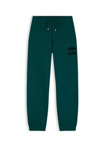 Tommy Hilfiger Pantaloni 'Brand Love' Băieţi verde pin, Mărimea 128