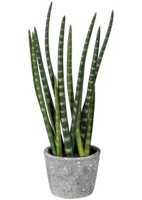Kunstpflanze Creativ green "Sanseveria", gr&uuml;n, B:12cm H:45cm T:9cm, Kunststoff, Kunstpflanzen, Kunstpflanze