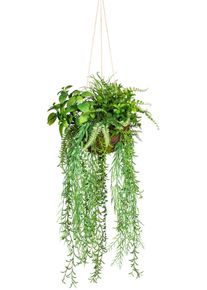 K&uuml;nstliche Zimmerpflanze Creativ green "Dekokugel zum H&auml;ngen", gr&uuml;n, H:80cm &Oslash;:30cm, Kunststoff, Kunstpflanzen, K&uuml;nstliche Zimmerpflanze