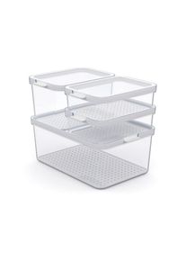 Rotho K&uuml;hlschrankbox, Wei&szlig;, Kunststoff, 18.7x19x28.4 cm, Reach, DIN EN ISO 14001, DIN EN ISO 9001, K&uuml;chenzubeh&ouml;r, Vorratsbeh&auml;lter, Frischhaltedosen