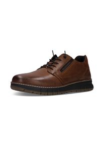 Slip-On Sneaker Salamander "Quickborn", Herren, Gr. 46, braun (cognac), Leder, Schuhe Slip-On Sneaker, Sneaker, Halbschuh mit elastischen Schn&uuml;rsenkeln