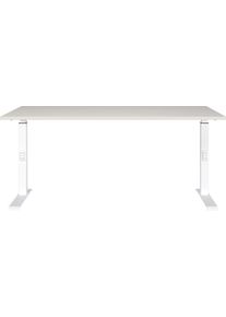 Schreibtisch Germania "Downey", wei&szlig; (lichtgrau, wei&szlig;, wei&szlig;, lichtgrau), B:160cm H:91cm T:80cm, Tische, Schreibtisch, h&ouml;henverstellbar von 68-91 cm, verf&uuml;gbar in verschiedenen Breiten