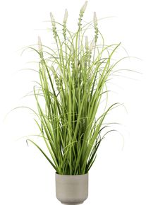 Kunstgras Creativ green "Grasbusch mit Salvienbl&uuml;ten", gr&uuml;n, H:75cm, Kunststoff, Kunstpflanzen, Kunstgras, mit detailgetreuen Bl&uuml;ten und Grashalmen