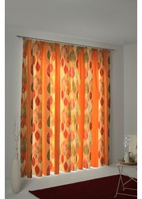Vorhang WIRTH "Marek" Gr. 4, orange (terra), B:145cm H:245cm, Polyester, Gardinen, Vorhang