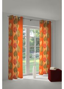 Vorhang WIRTH "Marek" Gr. 1, orange (terra), B:145cm H:150cm, Polyester, Gardinen, Vorhang