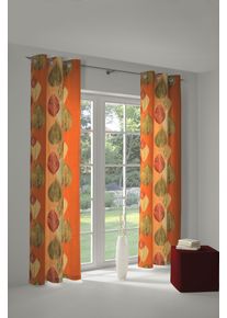 Vorhang WIRTH "Marek" Gr. 2, orange (terra), B:145cm H:180cm, Polyester, Gardinen, Vorhang