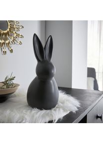 Hase "Black"