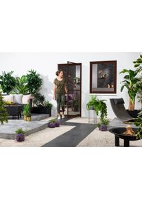 Insektenschutz-T&uuml;r Hecht INTERNATIONAL "MASTER SLIM+", braun (rahmen: braun gewebe: anthrazit), B:120cm H:240cm, Insektenschutzgitter, Insektenschutz-T&uuml;r, BxH: 120x240 cm inkl. Zargenrahmen