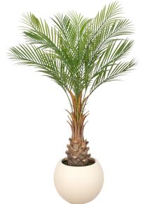 Kunstpalme Creativ green "Phoenixpalme roebelenii", gr&uuml;n, H:125cm, Obermaterial: 100% Kunststoff, Kunstpflanzen, Kunstpalme, mit naturgetreuen Palmwedeln