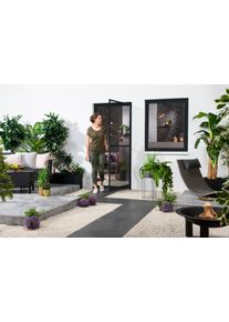 Insektenschutz-T&uuml;r Hecht INTERNATIONAL "MASTER SLIM+", grau (rahmen: anthrazit gewebe: anthrazit), B:100cm H:210cm, Insektenschutzgitter, Insektenschutz-T&uuml;r, BxH: 100x210 cm inkl. Zargenrahmen