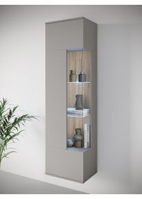 Vitrine OTTO HOME "Kenia, stehend und h&auml;ngend, T&uuml;ranschlag wechselbar", grau (pallad grau), B:45cm H:161cm T:32cm, Schr&auml;nke, Vitrine, Vitrineschrank mit Glast&uuml;ren 160 cm H&ouml;he