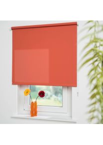 Seitenzugrollo Liedeco "Uni" Gr. 4, orange (terra), B:102cm H:180cm, Polyester, Rollos, Seitenzugrollo, Montage ohne Bohren zum Klemmen mit separatem Klemmtr&auml;ger m&ouml;glich
