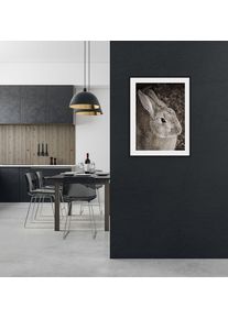 Bild queence "Tilde", braun (farbe rahmen: schwarz, farbe bild(er): braun), B:30cm H:40cm, Acrylglas, Holz, Papier, Bilder, Bild, HD Premium Poster-Druck inkl. Holzrahmen