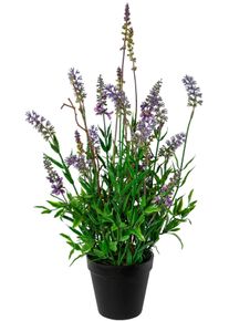Kunstblume Creativ green "Lavendel im Topf 48cm hoch", lila, H:48cm, Obermaterial: 100% Polyethylen, Kunstpflanzen, Kunstblume, Kunstpflanze t&auml;uschend echt mit filigranen Bl&uuml;ten