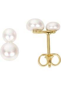 Paar Ohrstecker Firetti "Schmuck Geschenk Gold 333 Ohrschmuck Ohrringe", gold (gelbgoldfarben, wei&szlig;), Ohrringe, Damen, Gelbgold 333 Perlen, Gelbgold 333, Perlen, Paar Ohrstecker, mit S&uuml;&szlig;wasserzuchtperle