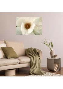 Wandsticker queence "White Love", wei&szlig;, B:120cm H:80cm T:0,1cm, Folie, Wandtattoos, Wandsticker, Selbstklebend, kinderleichte Anbringung