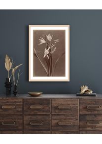 Bild mit Rahmen queence "Marlies", grau (farbe rahmen: hellbraun, farbe bild(er): grau), B:50cm H:70cm T:1,5cm, Acrylglas, Holz, Bilder, Bild mit Rahmen, Premium Rahmenbild