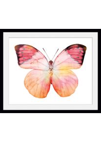 Bild QUEENCE "Elli", rosa (farbe rahmen: schwarz, farbe bild(er): rosa), B:50cm H:40cm, Acrylglas, Holz, Papier, Bilder, Bild, HD Premium Poster-Druck inkl. Holzrahmen