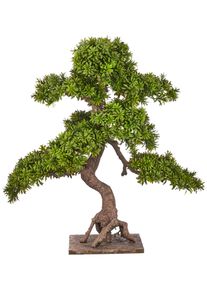 Kunstbonsai Creativ green "Bonsai Podocarpus macrophyllus", gr&uuml;n, H:80cm, Obermaterial: 100% Kunststoff, Kunstpflanzen, Kunstbonsai, in naturgetreuer Gestaltung