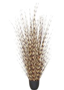 Kunstgras Creativ green "Grasbusch Miscanthus", creme, braun, H:140cm, Obermaterial: 100% Kunststoff, Kunstpflanzen, Kunstgras, mit au&szlig;ergew&ouml;hnlicher Farbgestaltung