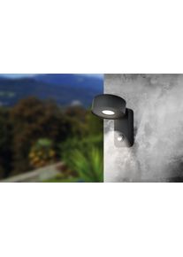 Applique murale d'ext&eacute;rieur Eglo PALOSCO LED Noir, 1 lumi&egrave;re, D&eacute;tecteur de mouvement
