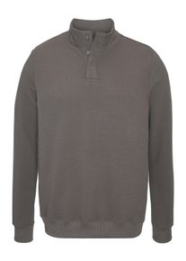 Sweatshirt Bruno Banani "Troyer", Herren, Gr. 3XL (64/66), braun (graubraun), Obermaterial: 54% Polyester (REPREVE), 23% Baumwolle, 21% Polyester, 2% Elasthan, Basic, regular fit normal, Rundhals, Rippb&uuml;ndchen, Sweatshirts Sweatshirt, Stehkragen, aus weicher Struktur-Qualit&auml;t