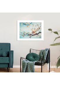 Bild queence "Roxy", blau (farbe rahmen: wei&szlig;, farbe bild(er): blau, rosa), B:40cm H:30cm, Acrylglas, Holz, Papier, Bilder, Bild, gerahmt, Rosen
