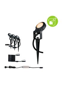 LED Gartenstrahler Paulmann "Plug & Shine Sting IP67 2200K 3x6,3W 75VA Anthrazit", grau (anthrazit), H:29cm L:0,5cm &Oslash;:5,2cm, Leuchten, LED Gartenstrahler, Basisset insektenfreundlich