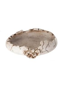 Reptile Nova miska Dinoegg 15,7x11,5x4 cm