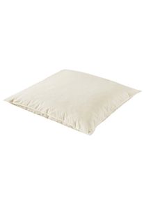 Federkissen Otto Keller "Kopfkissen & Dekokissen, in 40x40, 40x80, 80x80 cm erh&auml;ltlich", beige (creme), B:80cm L:80cm, Bezug: 100% Baumwolle. F&uuml;llung: 100% G&auml;nsefeder, Kopfkissen, Federkissen, Sofakissen, Dekokissen und auch als Schlafkissen.