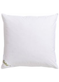 fj&ouml;dur Federkissen FJ&Ouml;DUR "Finn, in 40x80 & 80x80 cm", wei&szlig;, B:80cm L:80cm, Bezug: 100% Baumwolle. F&uuml;llung: 85% Federn, 15% Daunen, Kopfkissen, Federkissen, Kissen hergestellt in Deutschland