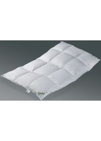 fj&ouml;dur Federbettdecke FJ&Ouml;DUR "Fabiennes Supreme, Bettdecken f&uuml;r Sommer oder Winter, Decke", wei&szlig;, B:135cm L:200cm, Bezug: 100% Baumwolle. F&uuml;llung: 70% Federn, 30% Daunen, Bettdecken, Federbettdecke, Bettdecke 135x200 cm, allergiker geeignet (f&uuml;r Hausstauballergiker)