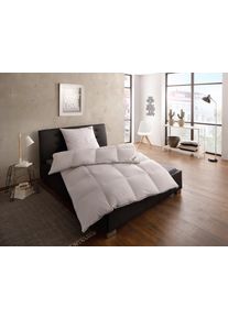 fj&ouml;dur G&auml;nsedaunenbettdecke FJ&Ouml;DUR "Franzisk, Bettdecken f&uuml;r Sommer oder Winter, Decke", wei&szlig;, B:155cm L:220cm, Bezug: 100% Baumwolle. F&uuml;llung: 100% G&auml;nsedaunen, Bettdecken, G&auml;nsedaunenbettdecke, Bettdecke 135x200, allergiker geeignet (f&uuml;r Hausstauballergiker)