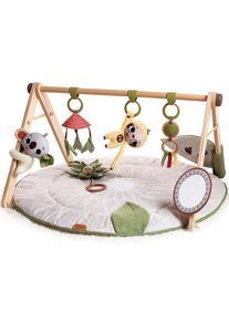 Tiny Love Luxe Gymini Mata do Zabawy | wielokolorowy