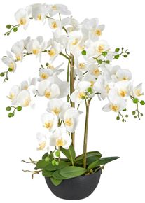 Kunstorchidee Creativ green "Phalaenopsis", wei&szlig;, Obermaterial: 100% Kunststoff, Kunstpflanzen, Kunstorchidee