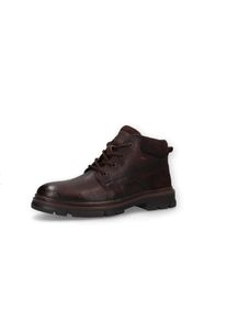 Schn&uuml;rboots Dockers by Gerli, Herren, Gr. 47, braun (dunkelbraun), Leder, Schuhe Schn&uuml;rboots, Schn&uuml;rstiefelette mit Schaftrandpolsterung