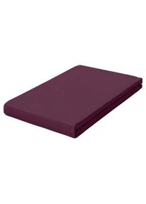 Schlafgut , Lila , Textil , 100x200 cm , Textiles Vertrauen - Oeko-Tex&reg;, Hohenstein, Oeko-Tex&reg; Standard 100, Oeko-Tex&reg; Made IN Green , Rundumgummi, b&uuml;gelleicht, weich und anschmiegsam, formstabil und langlebig, spielend leicht zu &uuml;berziehen, allerh&ouml;chster Komfort ,