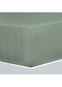 Bettlaken FLORELLA "AVANCE Jersey Elastan, 95% Baumwolle", gr&uuml;n (pfau), B/L: 100cm, 1 Stk., Jersey-Elasthan, 90-100x200-220 25cm, Bettlaken, Bettlaken