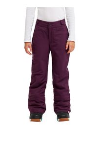 Snowboardhose Roxy "Backyard 10K", Kinder, Gr. 14(155-164cm), Normalgr&ouml;&szlig;en, lila (schwarzberry wine), Obermaterial: 100% Polyester., Hosen Snowboardhose